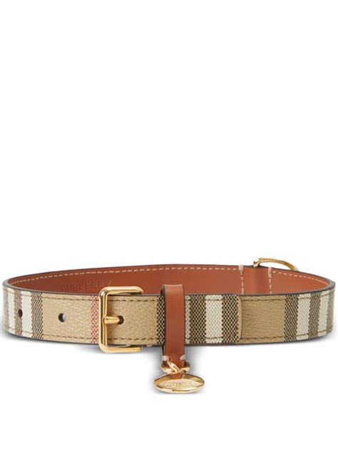 burberry hundehalsband und leine|Leine für Hunde Burberry Check in Braun .